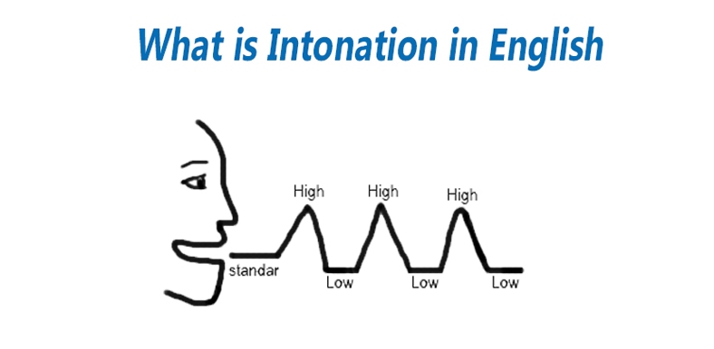 Rise and fall of pitch of voice is called