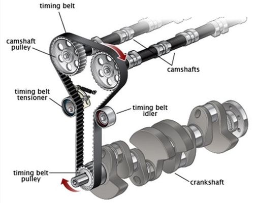 The timing belt is attached to the camshaft pulley and