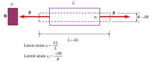 The deformation of the bar per unit length in the direction of the force is known as