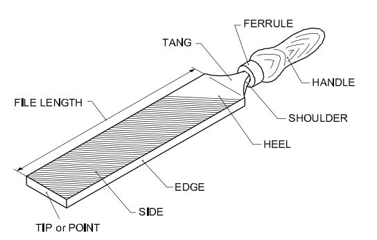 The portion of the broad part without teeth in a file is known as