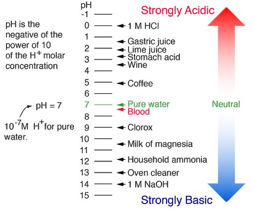 pH value of a neutral solution is